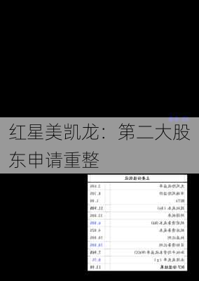红星美凯龙：第二大股东申请重整