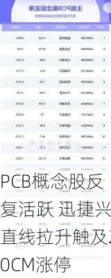 PCB概念股反复活跃 迅捷兴直线拉升触及20CM涨停