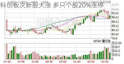 科创板次新股大涨 多只个股20%涨停