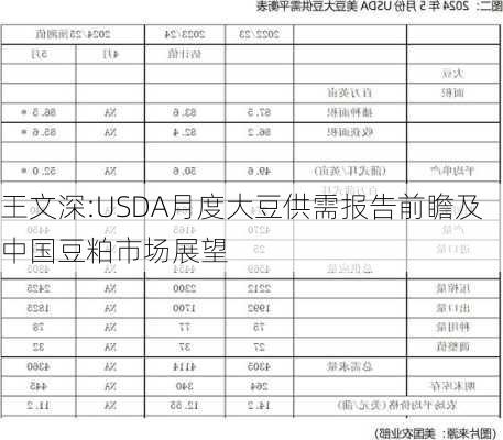 王文深:USDA月度大豆供需报告前瞻及中国豆粕市场展望