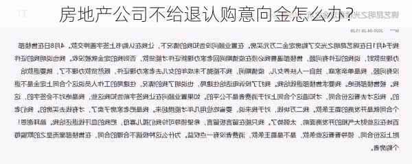 房地产公司不给退认购意向金怎么办？