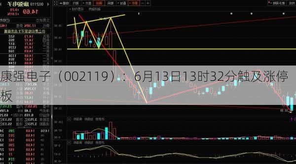 康强电子（002119）：6月13日13时32分触及涨停板