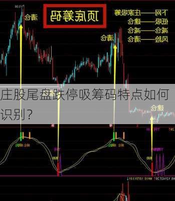 庄股尾盘跌停吸筹码特点如何识别？