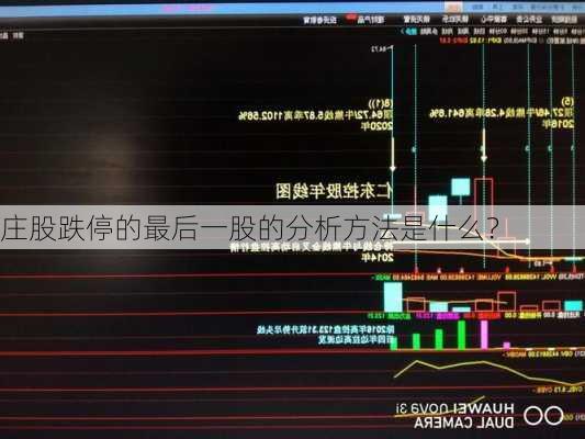 庄股跌停的最后一股的分析方法是什么？