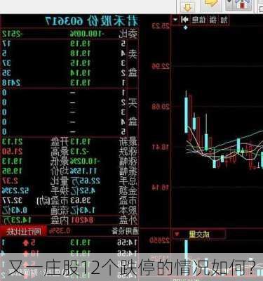 又一庄股12个跌停的情况如何？