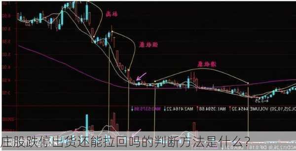 庄股跌停出货还能拉回吗的判断方法是什么？