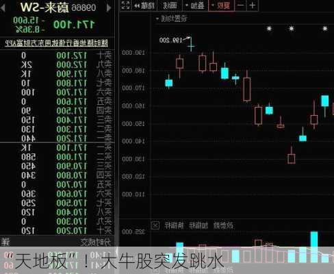 “天地板”！大牛股突发跳水