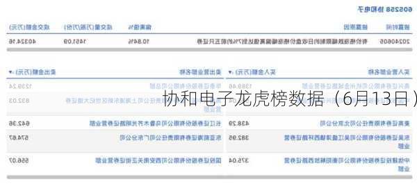 协和电子龙虎榜数据（6月13日）