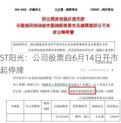 ST阳光：公司股票自6月14日开市起停牌