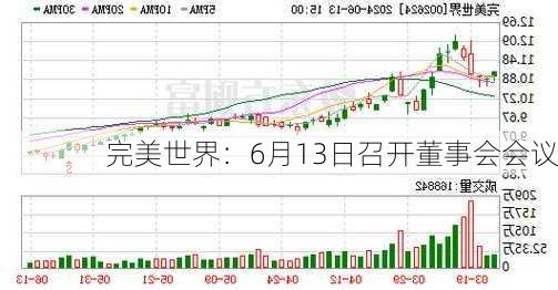 完美世界：6月13日召开董事会会议