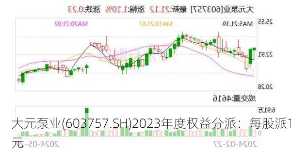 大元泵业(603757.SH)2023年度权益分派：每股派1元