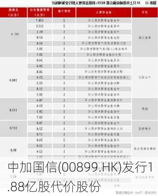 中加国信(00899.HK)发行1.88亿股代价股份