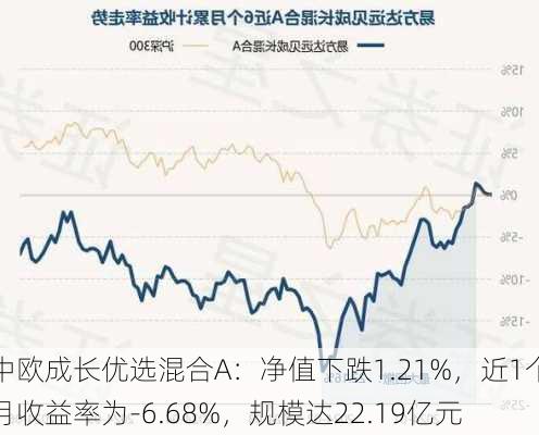 中欧成长优选混合A：净值下跌1.21%，近1个月收益率为-6.68%，规模达22.19亿元