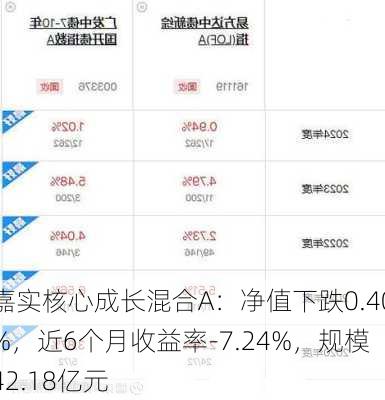 嘉实核心成长混合A：净值下跌0.40%，近6个月收益率-7.24%，规模42.18亿元