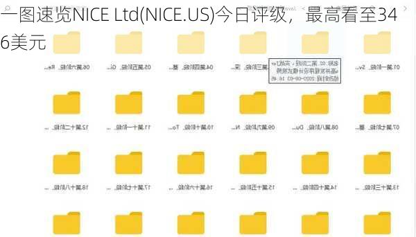 一图速览NICE Ltd(NICE.US)今日评级，最高看至346美元