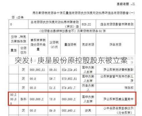 突发！庚星股份原控股股东被立案