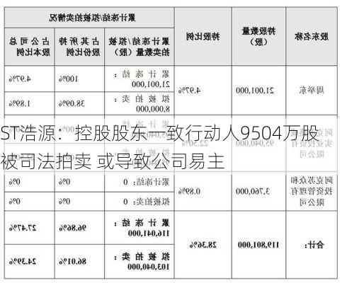 ST浩源：控股股东一致行动人9504万股被司法拍卖 或导致公司易主