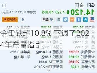 金田跌超10.8% 下调了2024年产量指引