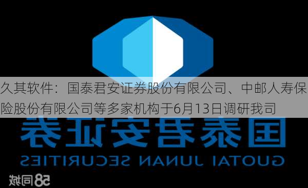 久其软件：国泰君安证券股份有限公司、中邮人寿保险股份有限公司等多家机构于6月13日调研我司