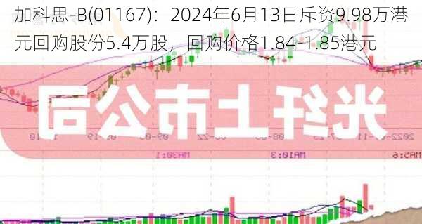 加科思-B(01167)：2024年6月13日斥资9.98万港元回购股份5.4万股，回购价格1.84-1.85港元