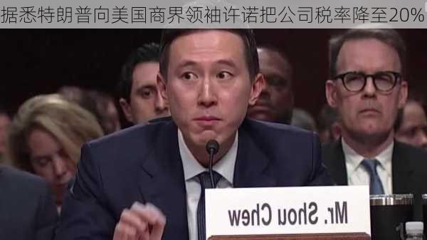 据悉特朗普向美国商界领袖许诺把公司税率降至20%