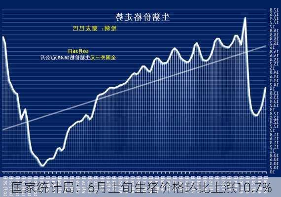 国家统计局：6月上旬生猪价格环比上涨10.7%