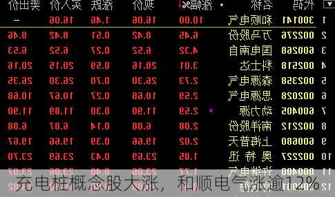 充电桩概念股大涨，和顺电气涨逾12%