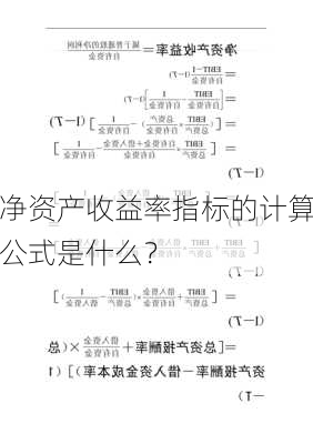 净资产收益率指标的计算公式是什么？