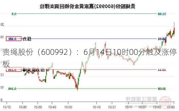 贵绳股份（600992）：6月14日10时00分触及涨停板