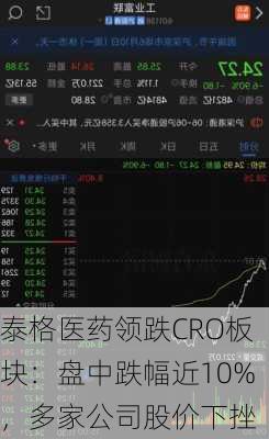 泰格医药领跌CRO板块：盘中跌幅近10%，多家公司股价下挫