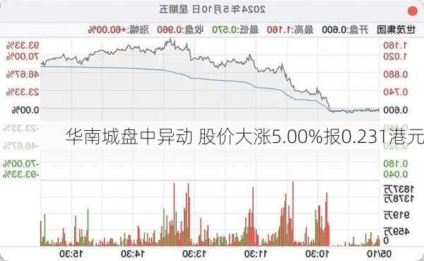 华南城盘中异动 股价大涨5.00%报0.231港元