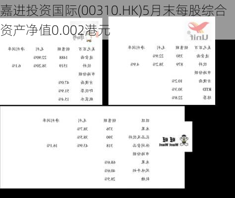 嘉进投资国际(00310.HK)5月末每股综合资产净值0.002港元