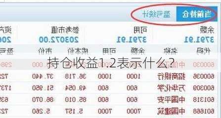 持仓收益1.2表示什么？