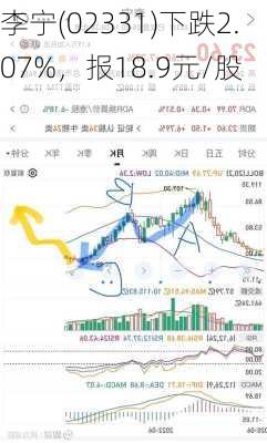 李宁(02331)下跌2.07%，报18.9元/股