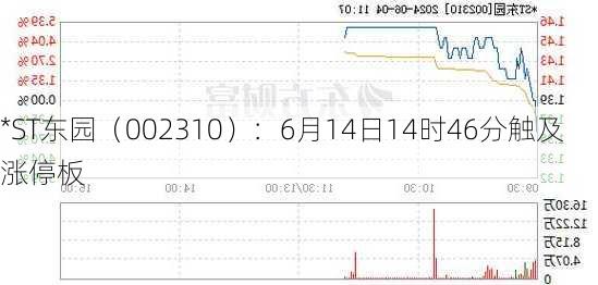 *ST东园（002310）：6月14日14时46分触及涨停板