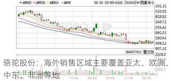 骆驼股份：海外销售区域主要覆盖亚太、欧洲、中东、非洲等地