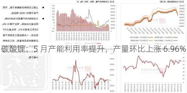 碳酸锂：5 月产能利用率提升，产量环比上涨 6.96%