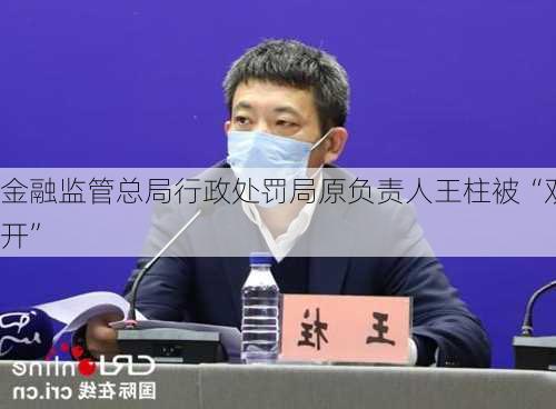 金融监管总局行政处罚局原负责人王柱被“双开”