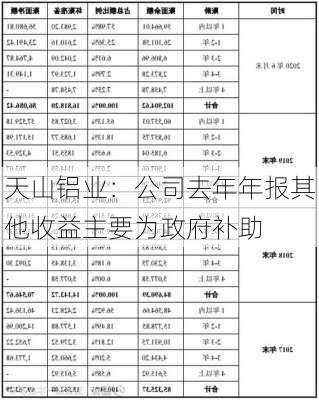 天山铝业：公司去年年报其他收益主要为政府补助