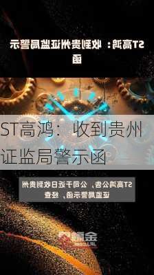 ST高鸿：收到贵州证监局警示函