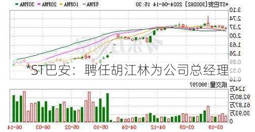 *ST巴安：聘任胡江林为公司总经理