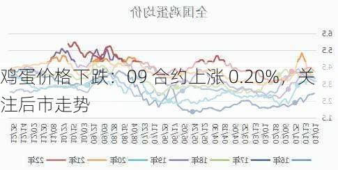 鸡蛋价格下跌：09 合约上涨 0.20%，关注后市走势