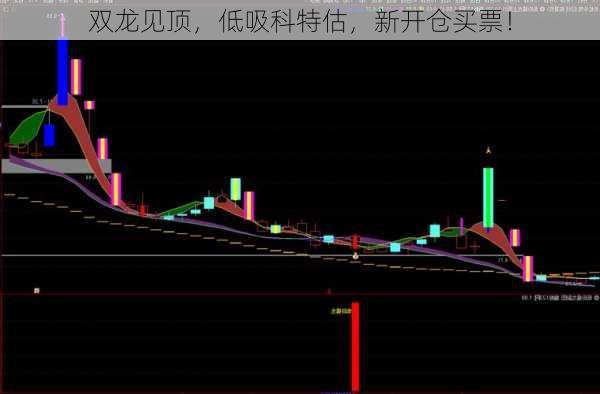 双龙见顶，低吸科特估，新开仓买票！