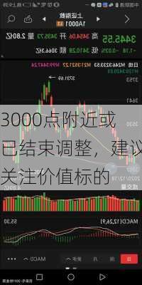 3000点附近或已结束调整，建议关注价值标的