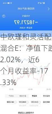 中欧瑾和灵活配置混合E：净值下跌2.02%，近6个月收益率-17.33%