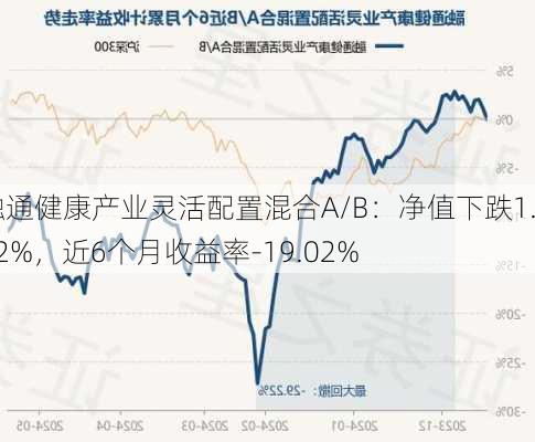 融通健康产业灵活配置混合A/B：净值下跌1.42%，近6个月收益率-19.02%