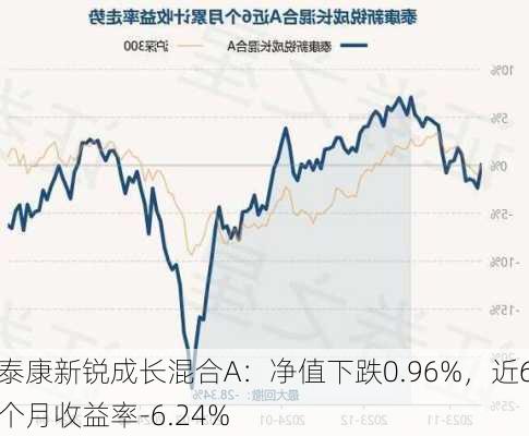 泰康新锐成长混合A：净值下跌0.96%，近6个月收益率-6.24%