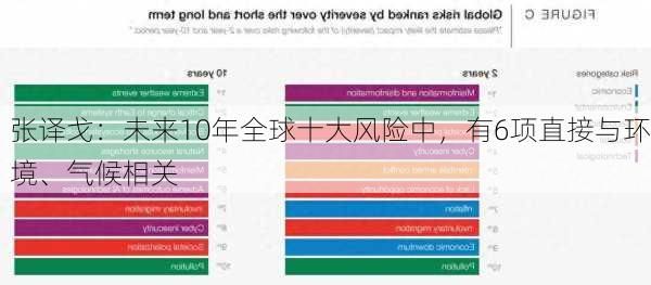 张译戈：未来10年全球十大风险中，有6项直接与环境、气候相关