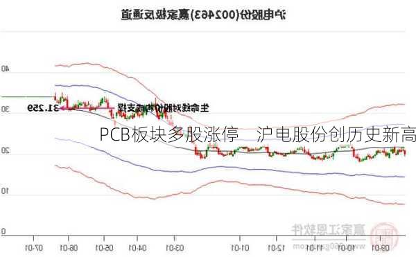 PCB板块多股涨停    沪电股份创历史新高