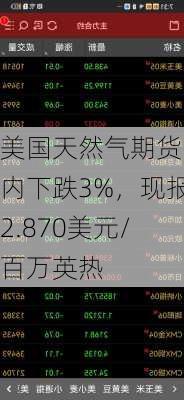 美国天然气期货日内下跌3%，现报2.870美元/百万英热